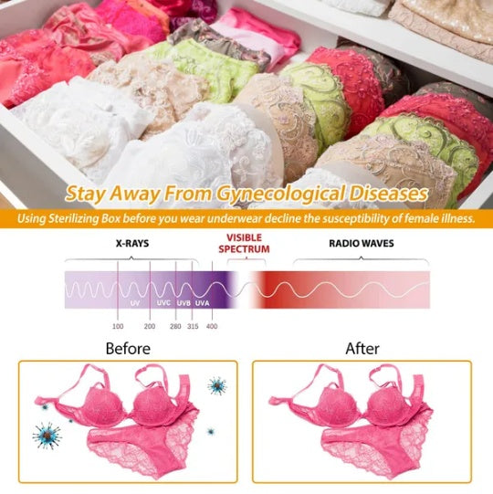 Portable UV Sanitizer Bag